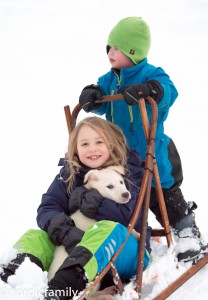 nordicfamily_dogsled