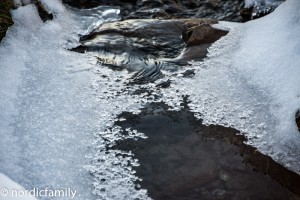 Crosscountry in Skeikampen