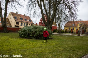 20160322-DSC_5046
