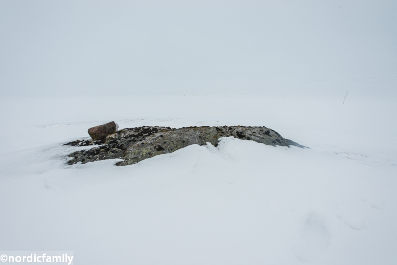 hardangervidda_009