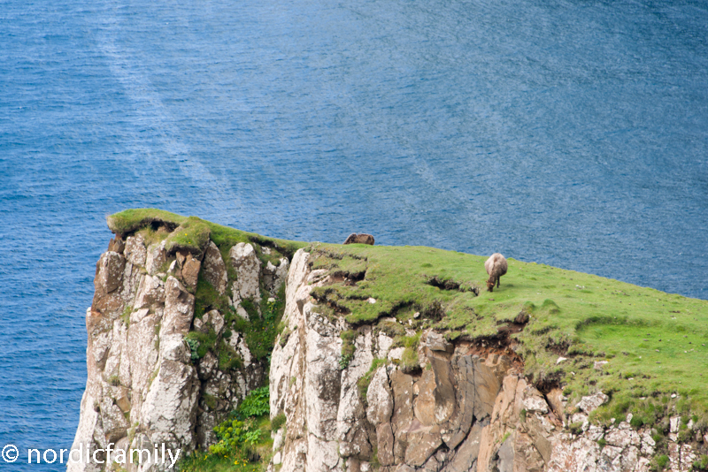 Suðuroy Faroe Islands