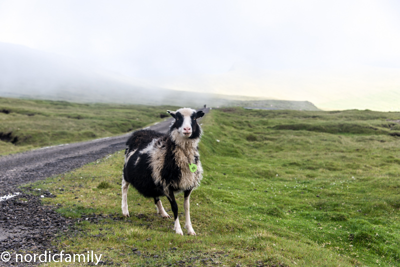 Suðuroy Faroe Islands