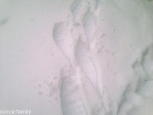 20161220-img_9526