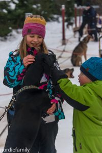 Huskytour in Vuokatti