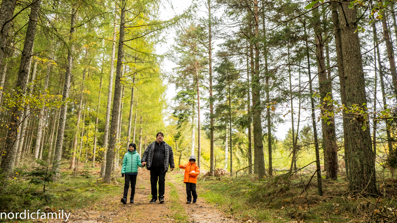 Wandern mit Kindern in Dänemark