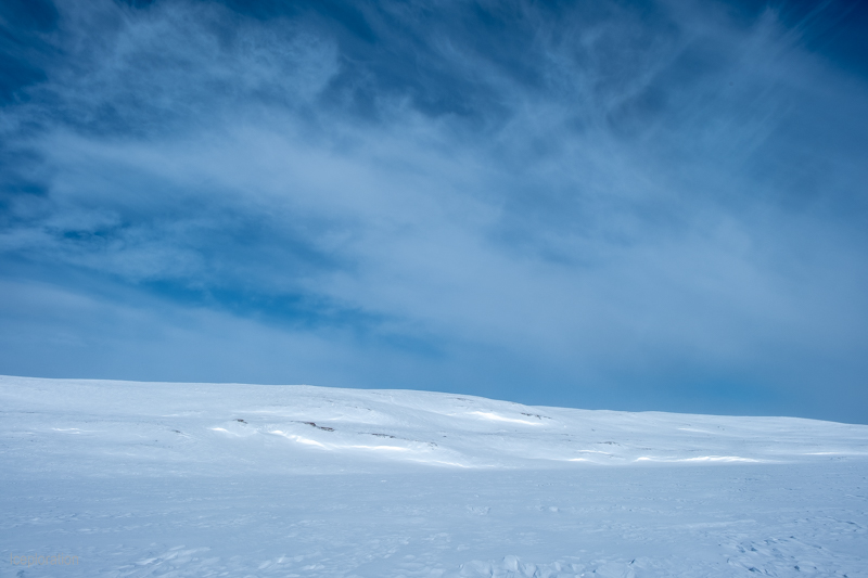 Hardangervidda