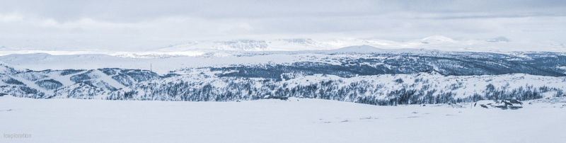 Hardangervidda