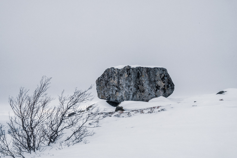 Hardangervidda Skitour