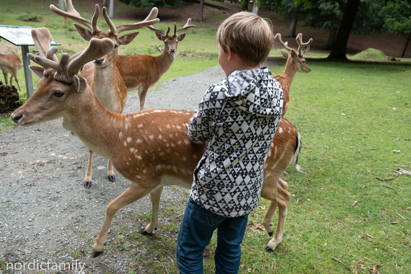 Vejle mit Kindern