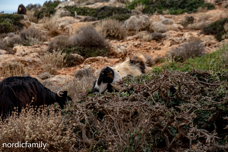 Sightseeing auf Kreta