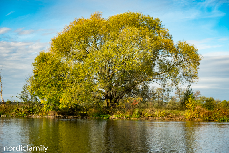 Natur - Paddeln auf der unteren Havel