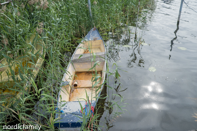 Paddeln auf der unteren Havel