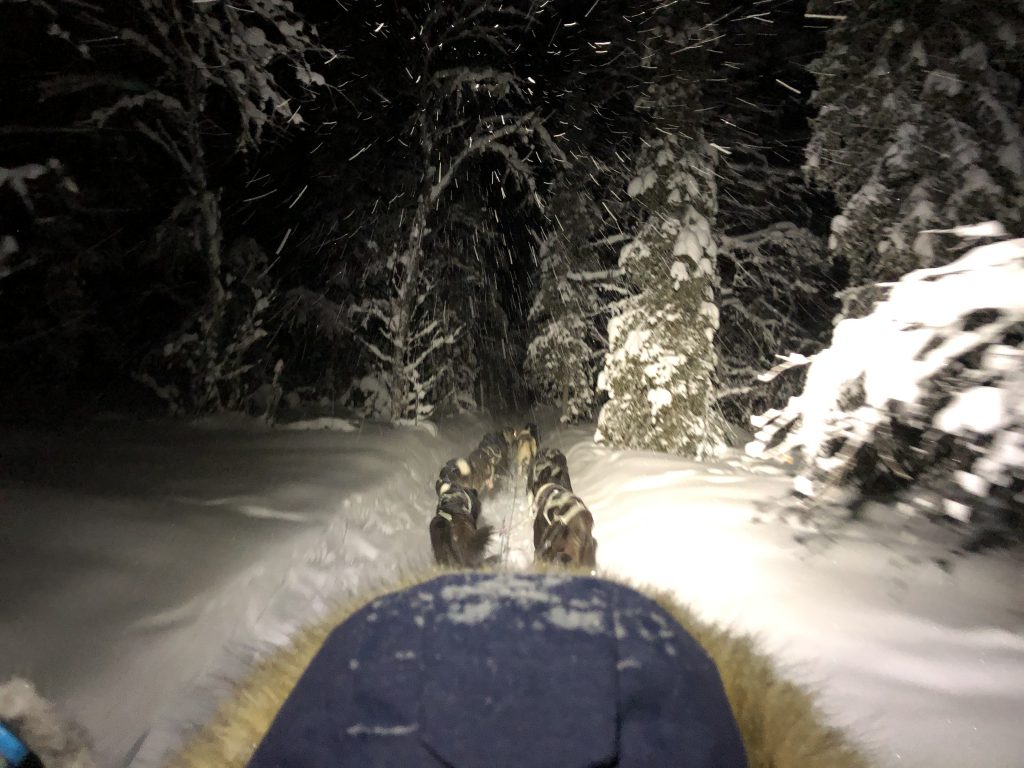 Hundeschlittentour mit Familie - Schneegestüber