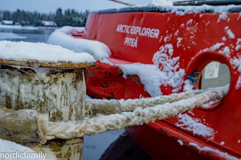 Arctic Explorer Icebreaker