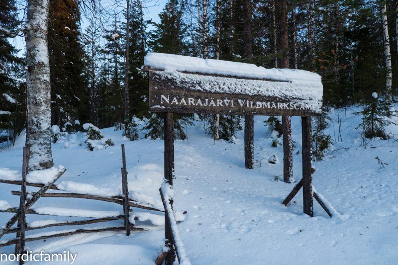 Naarajärvi