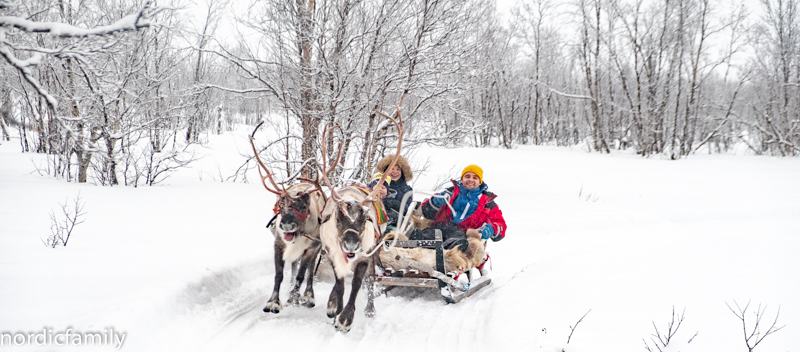 Rentierschlittenfahrt in Kiruna Lapland