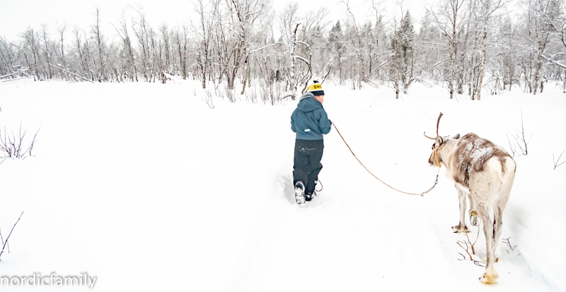 Kiruna Lapland Winter