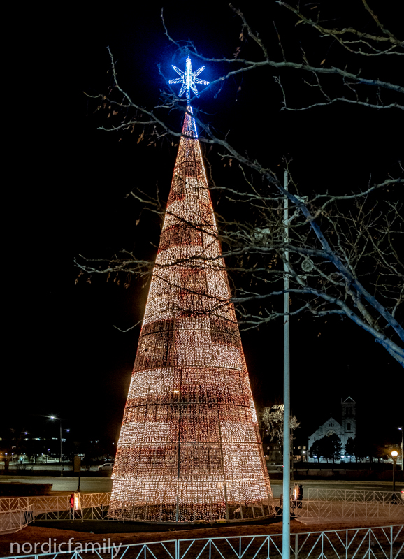 Mile high tree Denver