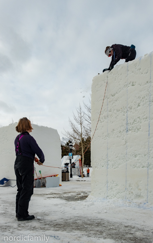 Snowsculpting Ropesaw