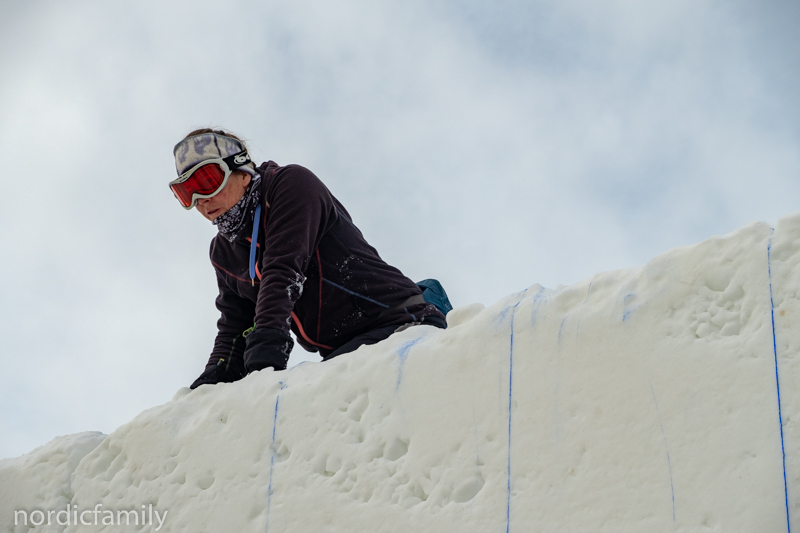 Jodine Leigh, Snowsculpture