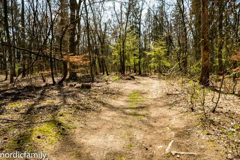 Fahrradweg rund um Potsdam