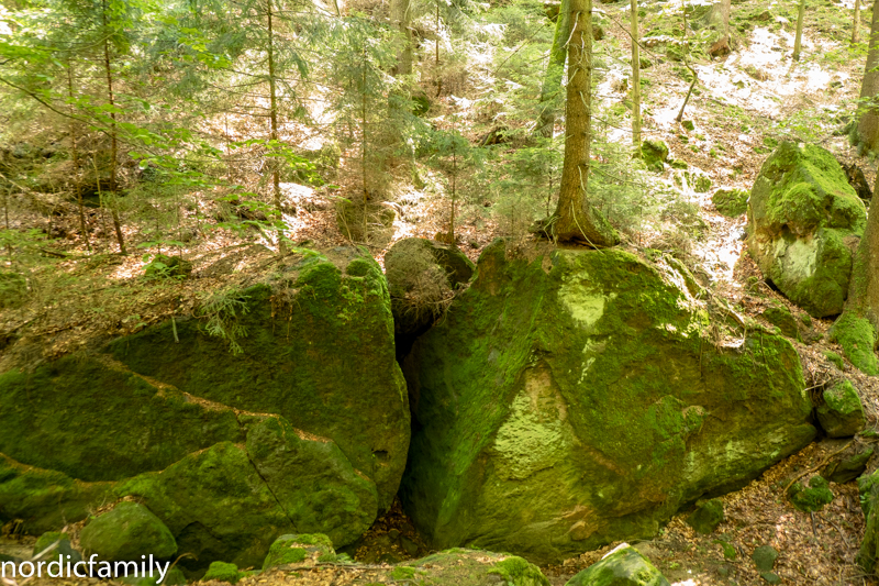 Klettern im Elbsandsteingebirge Fels