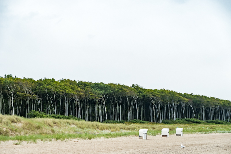 Segeln mit Kind - Ostsee