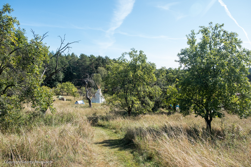 Frauen Wildniscamp