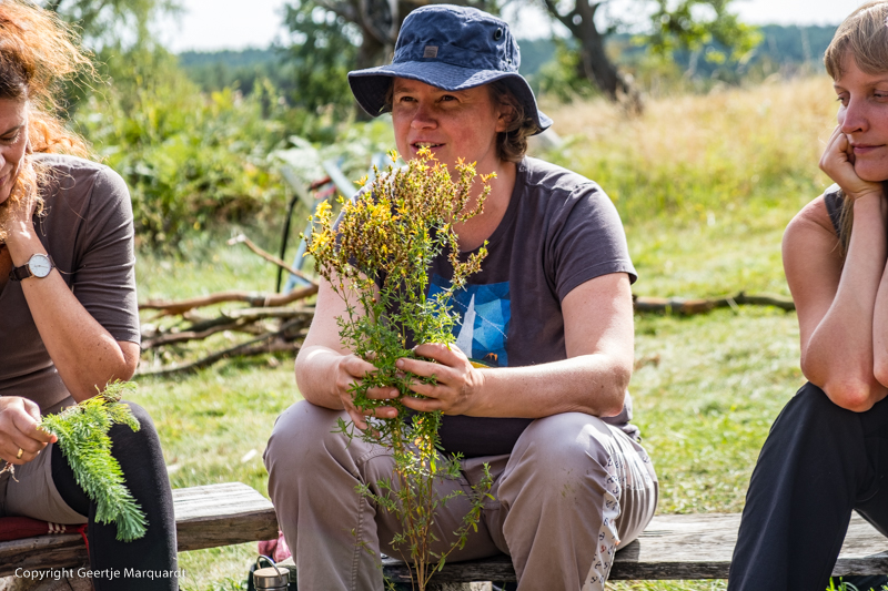 Frauen Wildniscamp Pflanzen