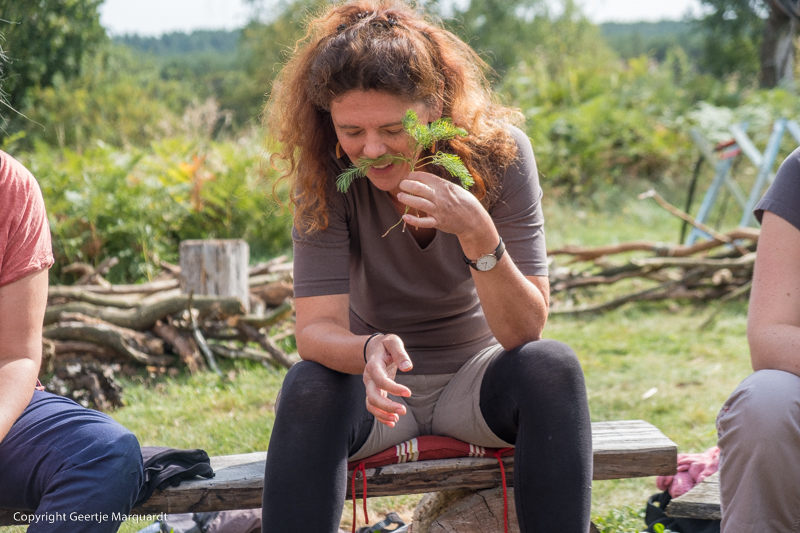 Frauen Wildniscamp Heilkräuter