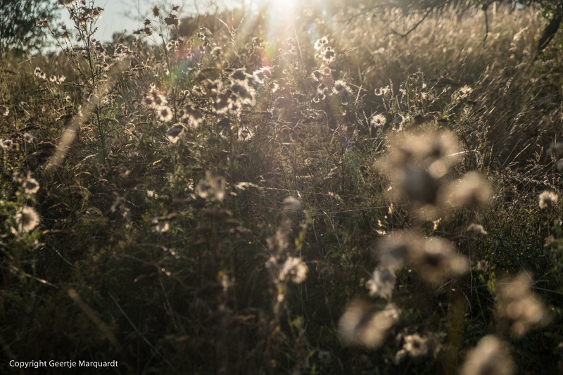 Frauen Wildniscamp Natur