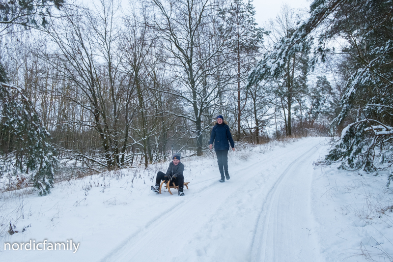 Winterausflug Hoher Fläming  Schlitten