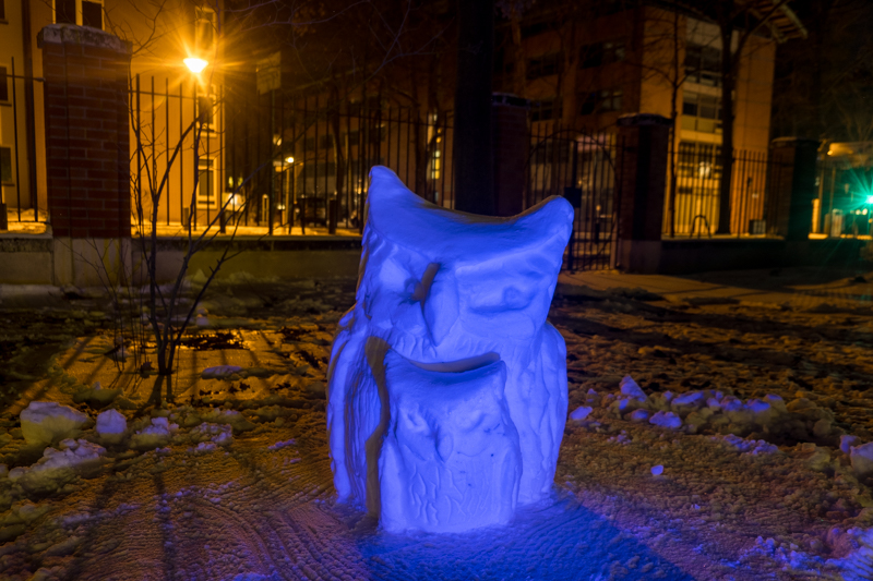 Schneeskulpturen in Potsdam Eule Anna Laura Jacobi