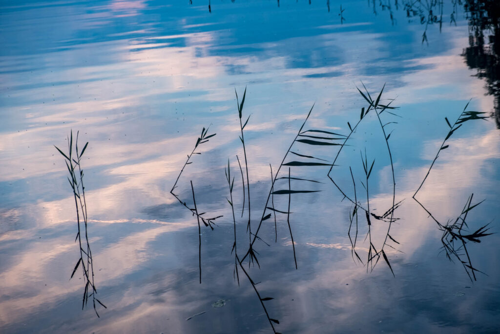 Campen in Småland Kanu fahren