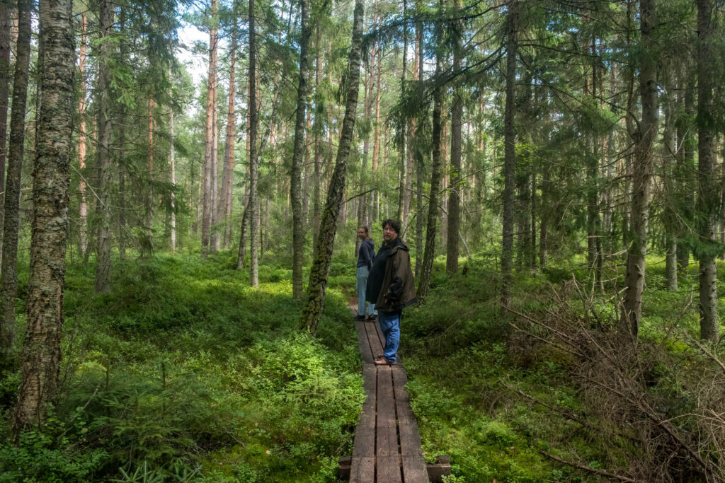 Nationalpark Asnen