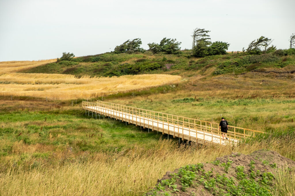 Nordsee Camino mit Teenagern Steg