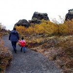 DSC_0011_myvatn2