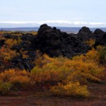 DSC_0048_myvatn2