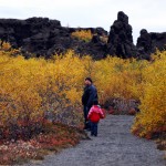 DSC_0097_myvatn2