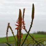 20121029-DSC_0643