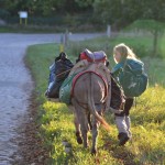 Wandern bis in den Abendsonnenschein