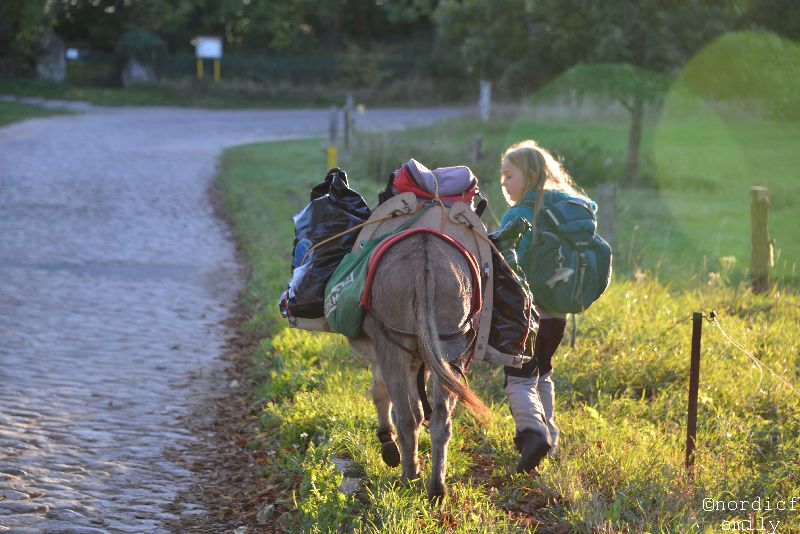 Wandern bis in den Abendsonnenschein