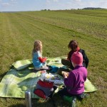 Picknick am Feldrand