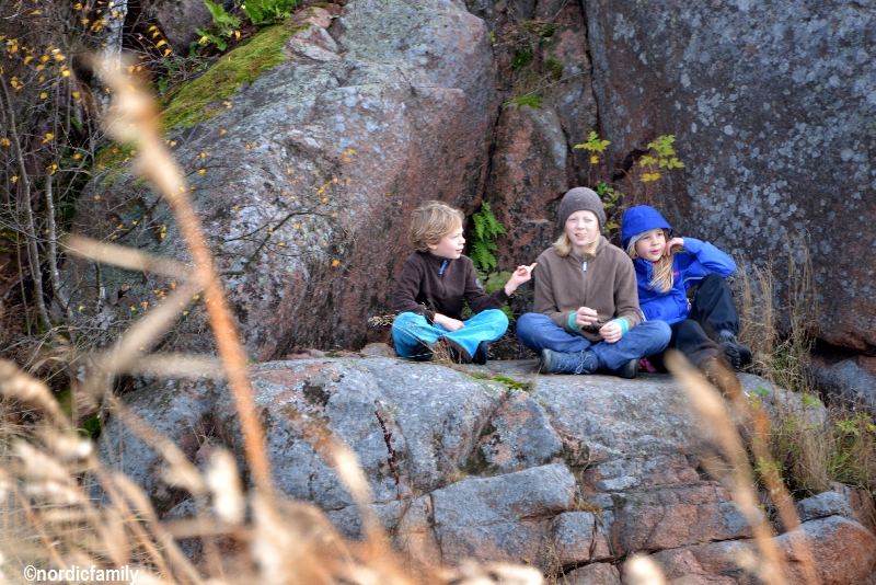 nordicfamily auf Aland