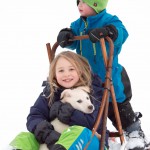 nordicfamily_dogsled