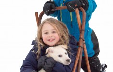 nordicfamily_dogsled