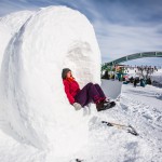 Skulptur Quercus nixum québec