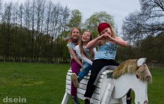 Schau mal Pferde Kindergeburtstag