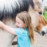 Schau mal Pferde Kindergeburtstag