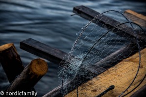 Fisch in Kukkolaforsen